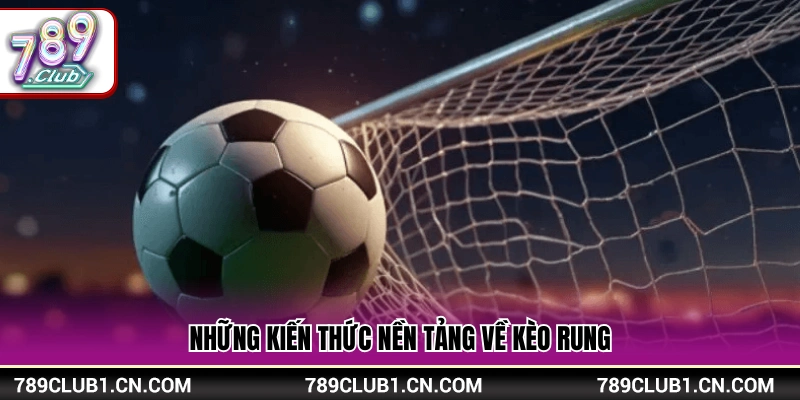 Thông tin cốt lõi về hình thức cược rung